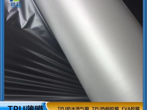 TPU防水透氣膜   功能性薄膜  工廠直銷    ZC